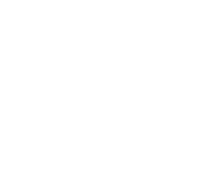 experience house logo