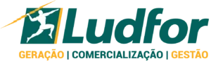 logo ludfor
